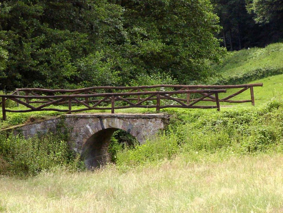 Schoenblick - Gemuetlich Uebernachten! Ober-Hambach エクステリア 写真