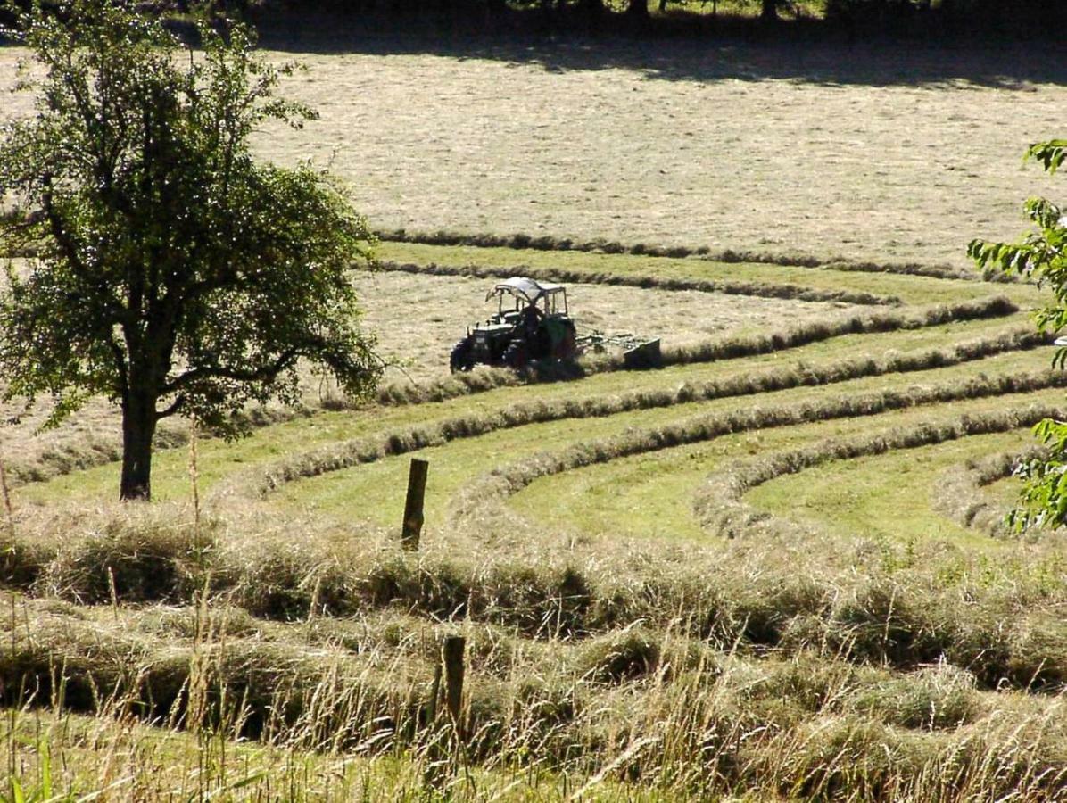 Schoenblick - Gemuetlich Uebernachten! Ober-Hambach エクステリア 写真